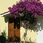 In 아파트 트로기르