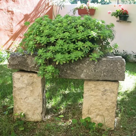 In تروغير